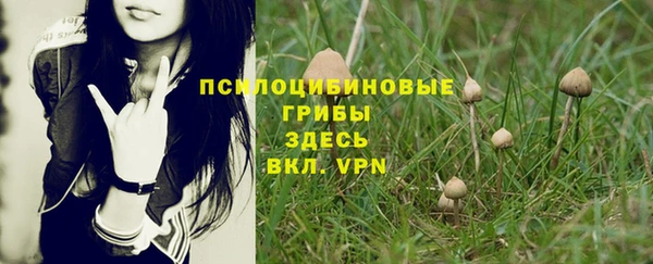 шишки Абдулино