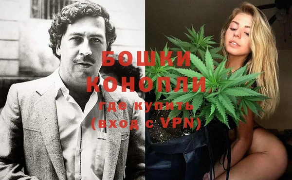 PSILOCYBIN Алзамай