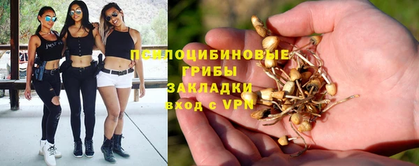 спайс Абинск