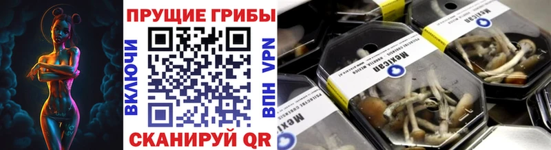 Галлюциногенные грибы MAGIC MUSHROOMS  купить закладку  Райчихинск 